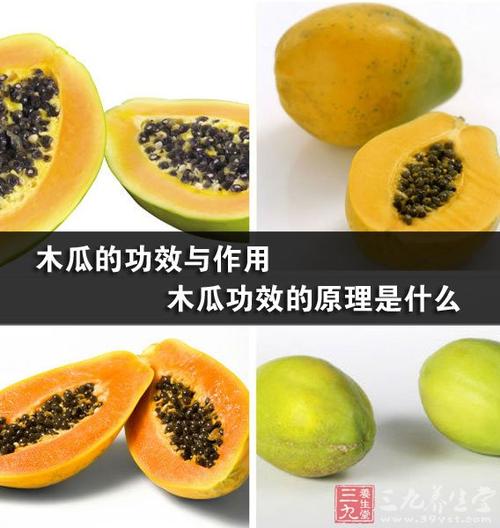 关于木瓜的功效和作用的信息