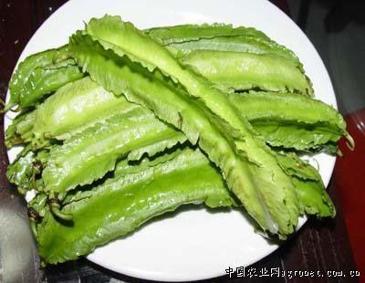 三棱豆_三棱豆图片