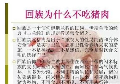 回民不吃猪肉的原因_回民不吃猪是什么原因