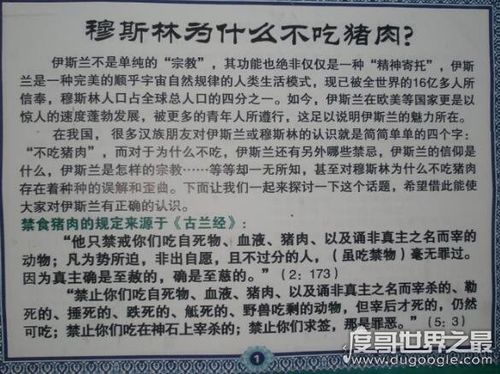 回民不吃猪肉的原因_回民不吃猪是什么原因