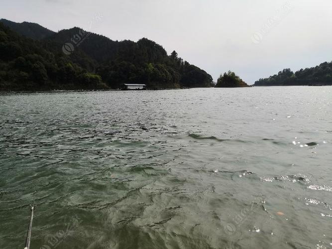 东江湖钓鱼_东江湖钓鱼一天多少钱