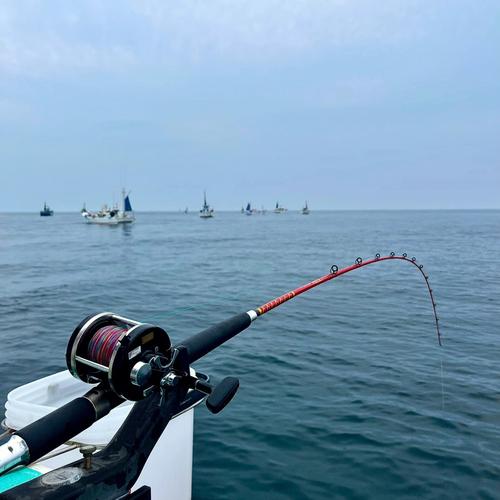 海钓视频_海钓视频大全100集