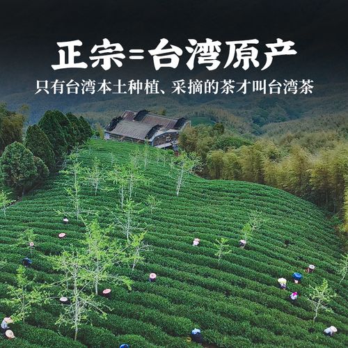 台湾高山茶叶的简单介绍