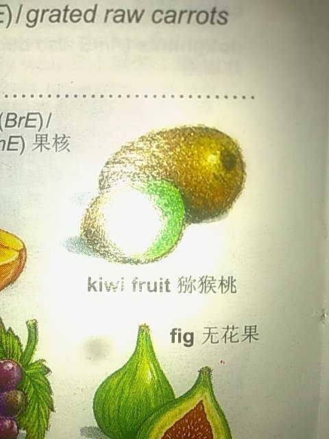 杨桃的英文_杨桃的英文怎么读starfruit