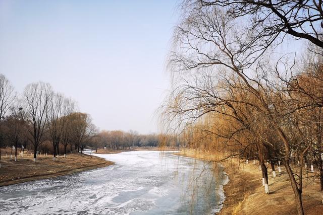 wujiu_五九六九沿河看柳七九河开天气越来越什么了