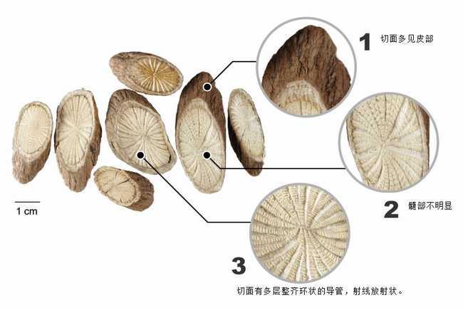 关木通_关木通和木通的功效区别