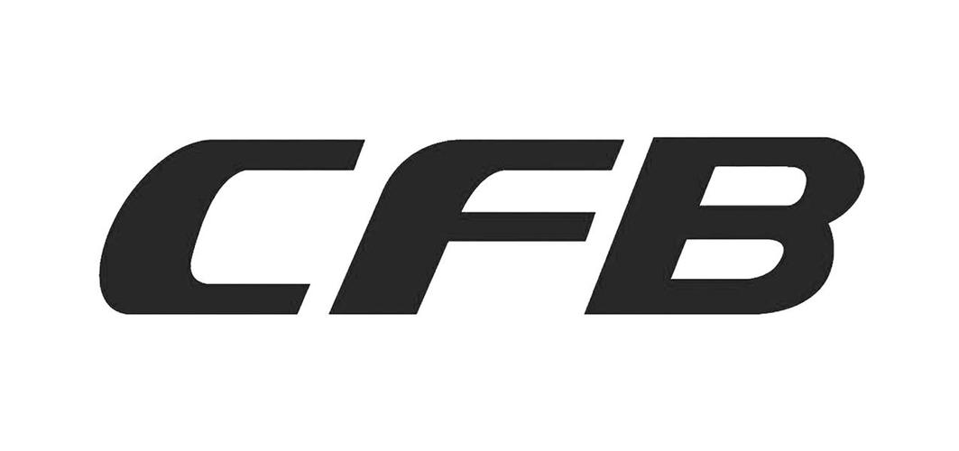 cfb_cfb是什么意思