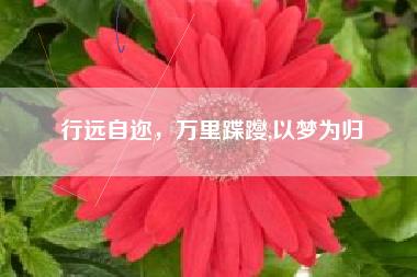 花开不怠_花开不怠什么意思