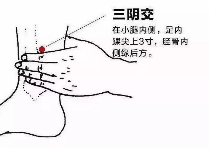 三阴交的准确位置图_三阴的准确位置图片和功效