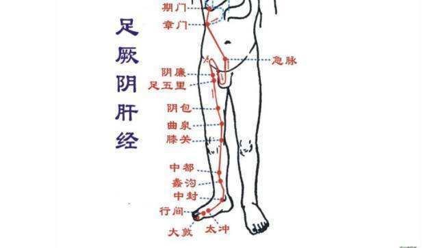 肝胆经络图_肝胆经络图在哪个位置