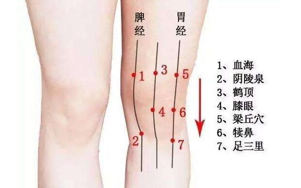 阴陵泉穴位位置图_阴陵泉位置图片及作用