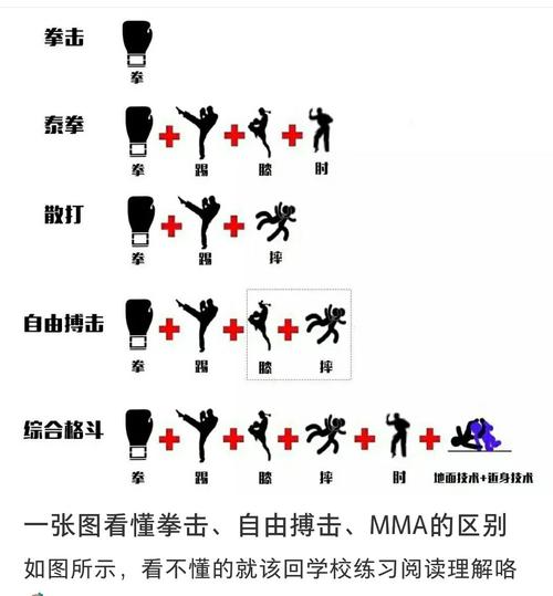 自由搏击_自由搏击和散打的区别