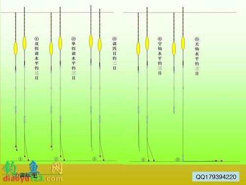 钓鱼方法_钓鱼方法有几种