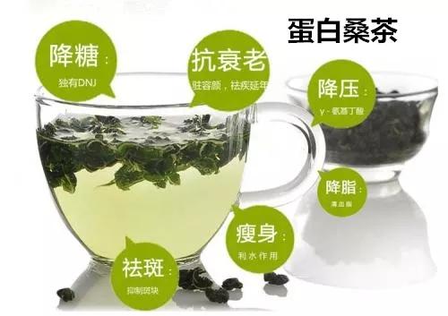 桑叶_桑叶茶的功效与作用