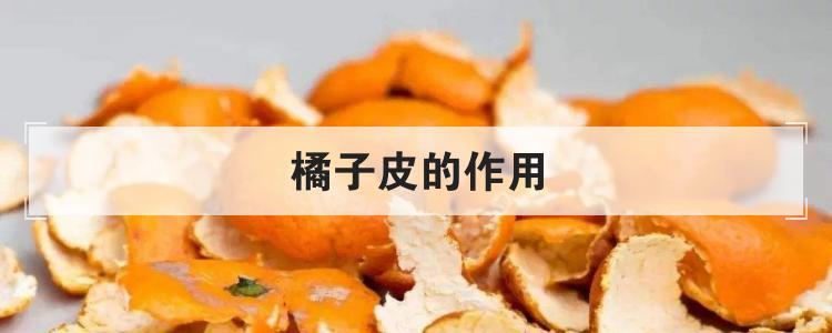 橘子皮有什么用_橘子皮有什么用处