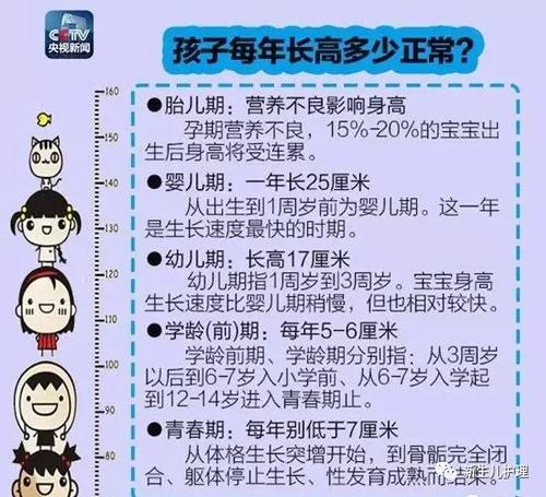 长高秘诀_长高秘诀女生