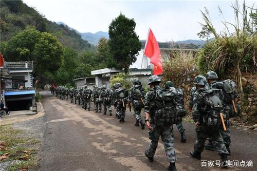 野战部队_野战部队与地方部队的区别