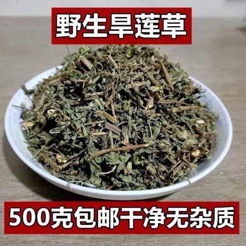 旱莲草_旱莲草洗头的功效与作用