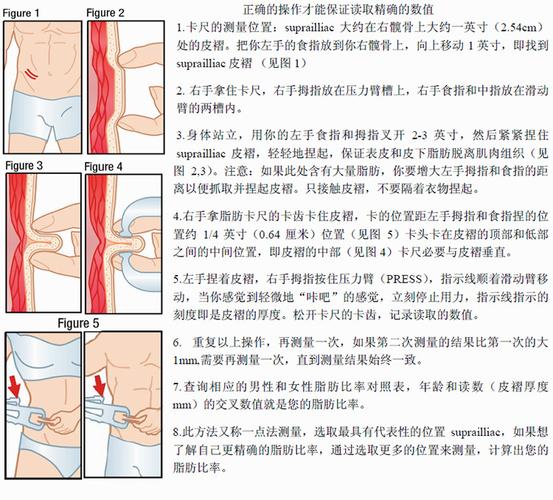 脂肪测量_皮下脂肪测量