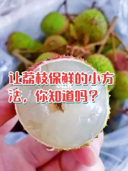 荔枝怎么保鲜时间长_荔枝怎样保鲜时间长