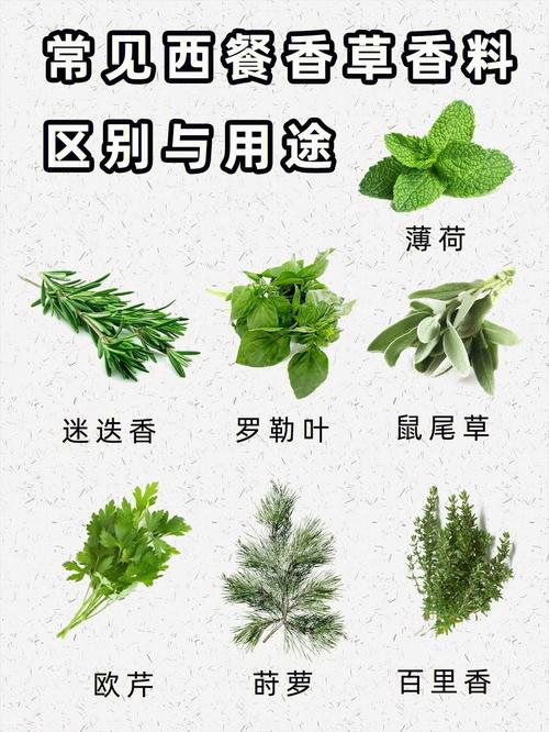 香草_香草的作用与功效