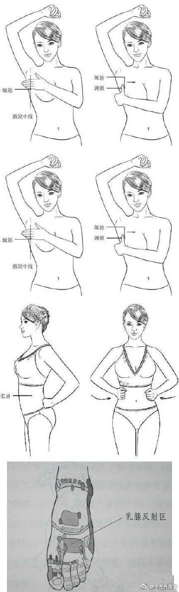 按摩乳_按摩乳房反射区能治好乳腺增生吗?