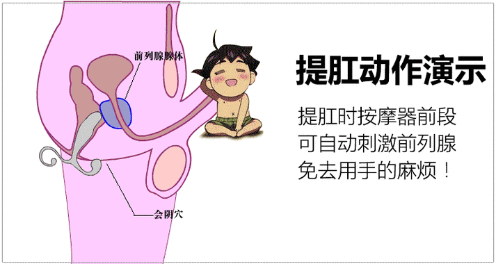 前列腺自我按摩_前列腺自我按摩手法图解视频