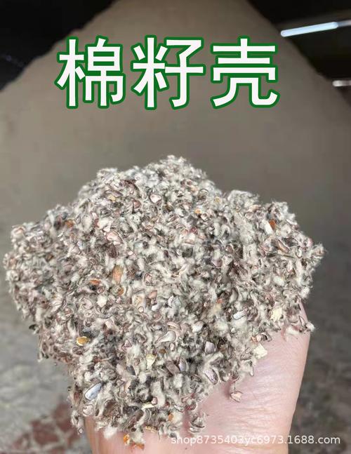 棉籽壳_棉籽壳有什么用途