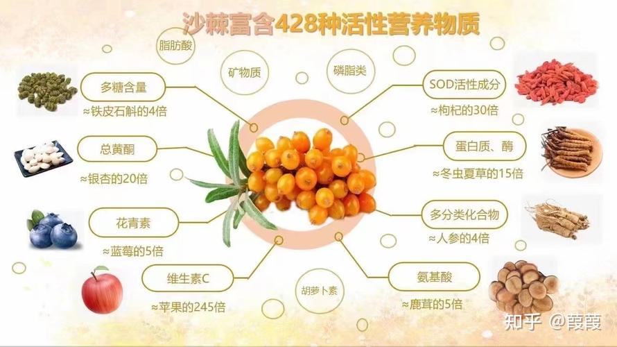 沙棘果_沙棘果的功效与作用