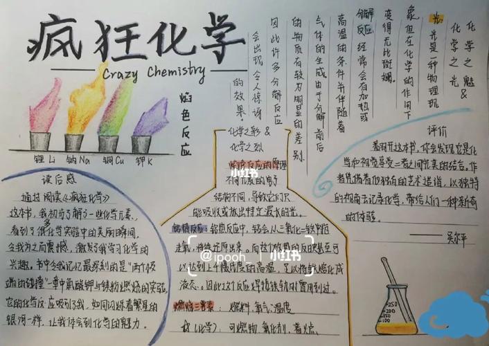 疯狂抄手_疯狂手抄报