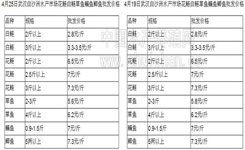 出走的淡水鱼_出走的淡水鱼小说