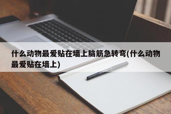 什么动物最爱贴在墙上_什么动物最爱贴在墙上脑筋急转弯