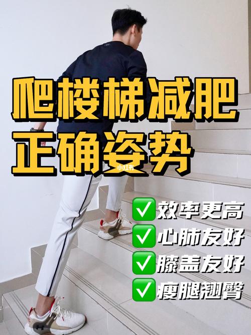 爬楼梯减肥_爬楼梯减肥效果怎么样