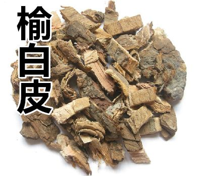 榆白皮_榆白皮是什么中药