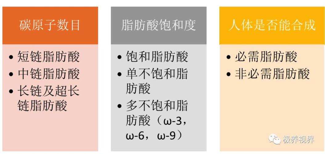 长链脂肪酸_长链脂肪酸和短链脂肪酸区别