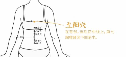 至阳_至阳的准确位置图片及作用