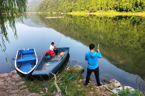 千岛湖钓鱼网_2021年千岛湖钓鱼