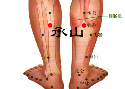 承山穴_