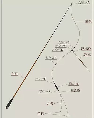 鱼线_鱼线在鱼的什么位置