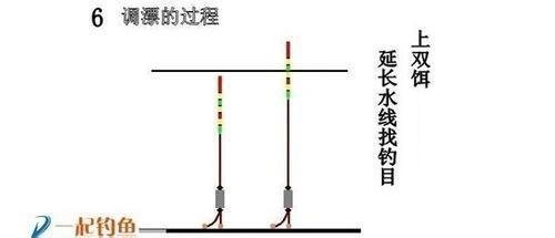 鱼线_鱼线在鱼的什么位置