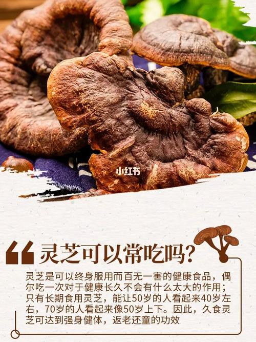 灵芝的作用_灵芝的作用与功效什么人适合喝