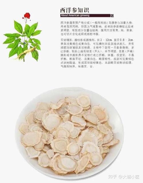 西洋参的功效与作用及食用方法_新鲜西洋参的功效与作用及食用方法