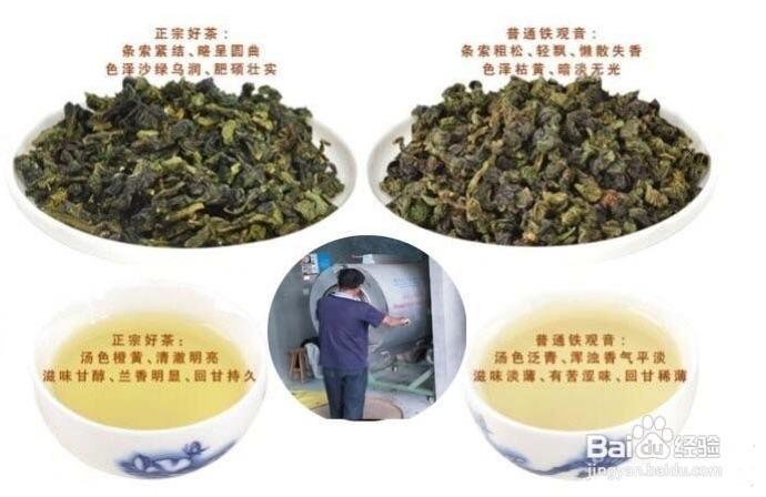 乌龙茶和铁观音的区别_乌龙茶和铁观音茶的区别