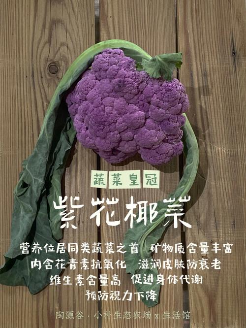 花菜的营养价值_紫色花菜的营养价值