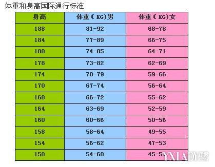 身材比例计算_身材比例计算器