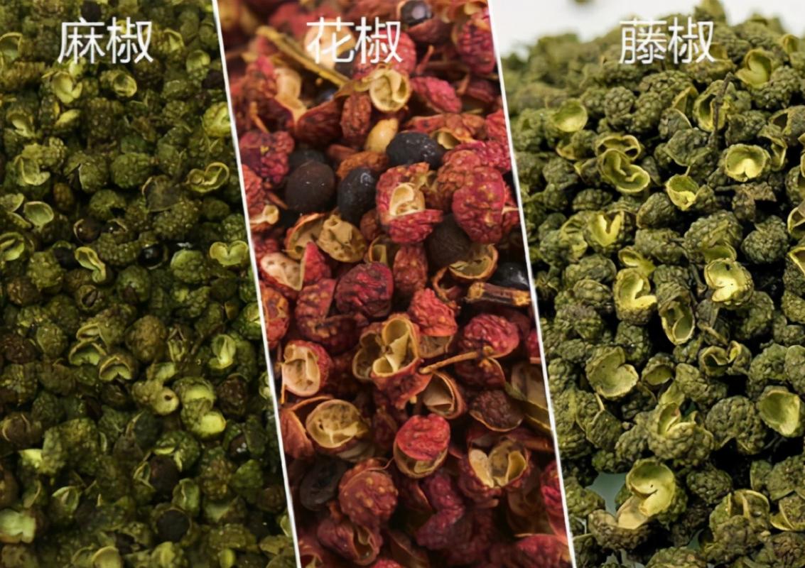 藤椒和青花椒的区别_藤椒和青花椒的区别图片