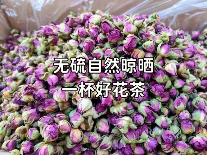 新疆玫瑰_新疆玫瑰花的功效与作用