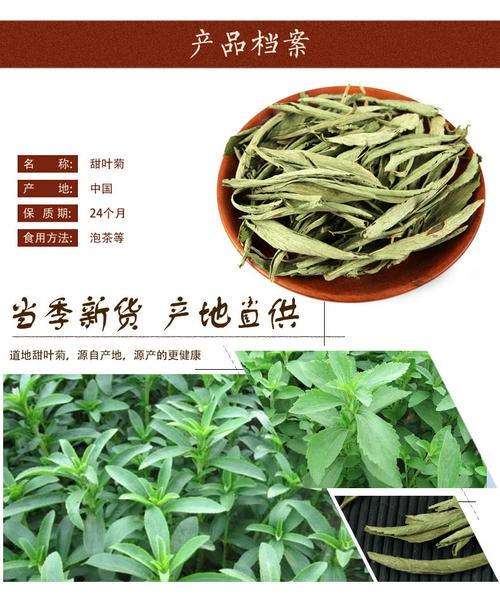 甜叶菊_甜叶菊叶的功效作用与主治