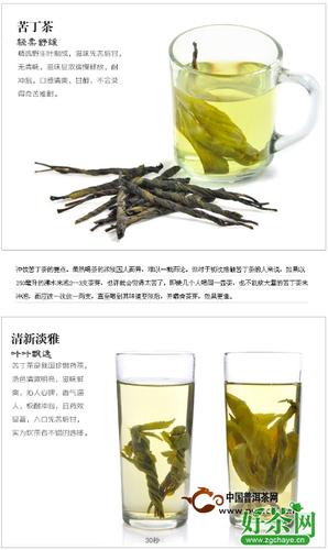 苦丁茶能减肥吗_苦丁茶能减肥吗?多长时间看见效果