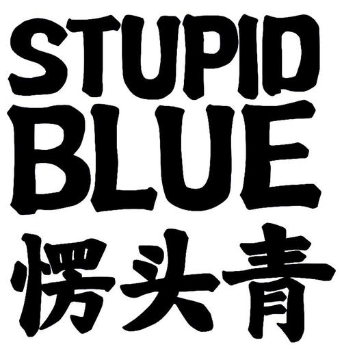 stupid_stupid翻译成中文